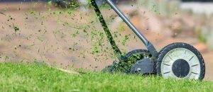 Sposoby na utrzymanie terenów zewnętrznych w dobrym stanie