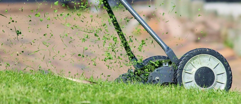 Sposoby na utrzymanie terenów zewnętrznych w dobrym stanie